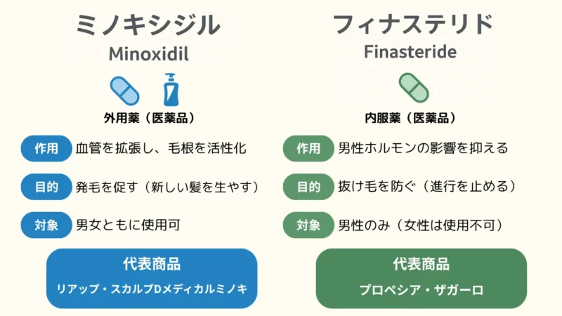 ミノキシジルとフィナステリドの説明
